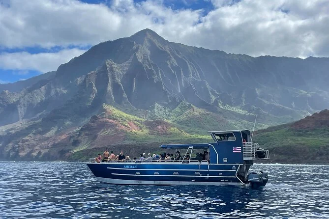 Excursion en bateau d'une demi-journée sur la côte de Na Pali