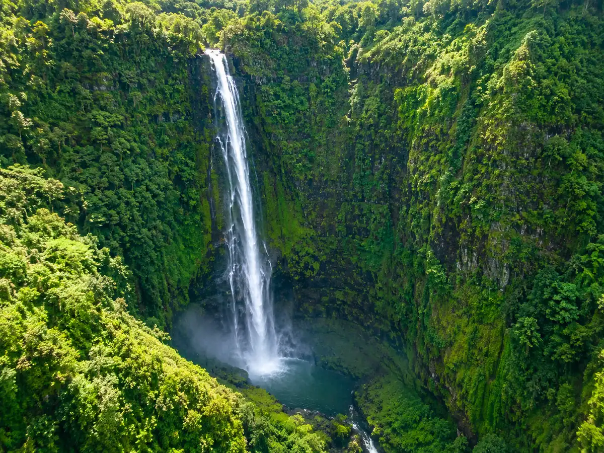 Une haute cascade en ruban tombant le long d'une falaise de jungle verdoyante